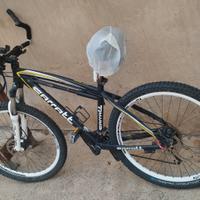 mtb muscolare 