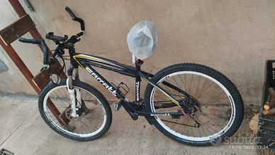 mtb muscolare 