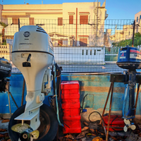 Motore Johnson 90 cv