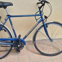 Bicicletta Bottecchia Verde Natura