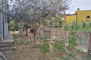 Villa singola con giardino, Montelabbate