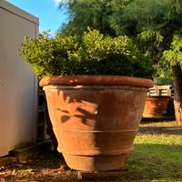 Antica conca terracotta Impruneta