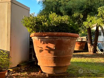 Antica conca terracotta Impruneta