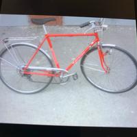 Bici vintage bottechia