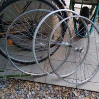 cerchioni bici