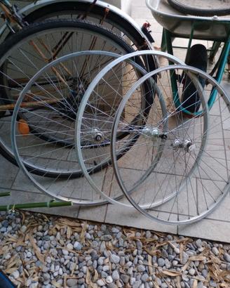 cerchioni bici
