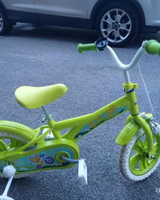 Bicicletta 