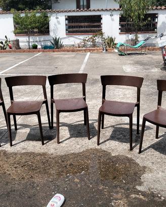 sedie Calligaris 