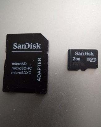 Micro  SD (NO HC) 2GB Sandisk + adattatore Vintage