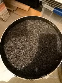 Fondo Acquario Fertile