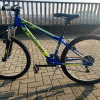 Bicicletta per ragazzo 26