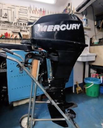 Motore Fuoribordo Mercury 15 CV (4 Tempi)