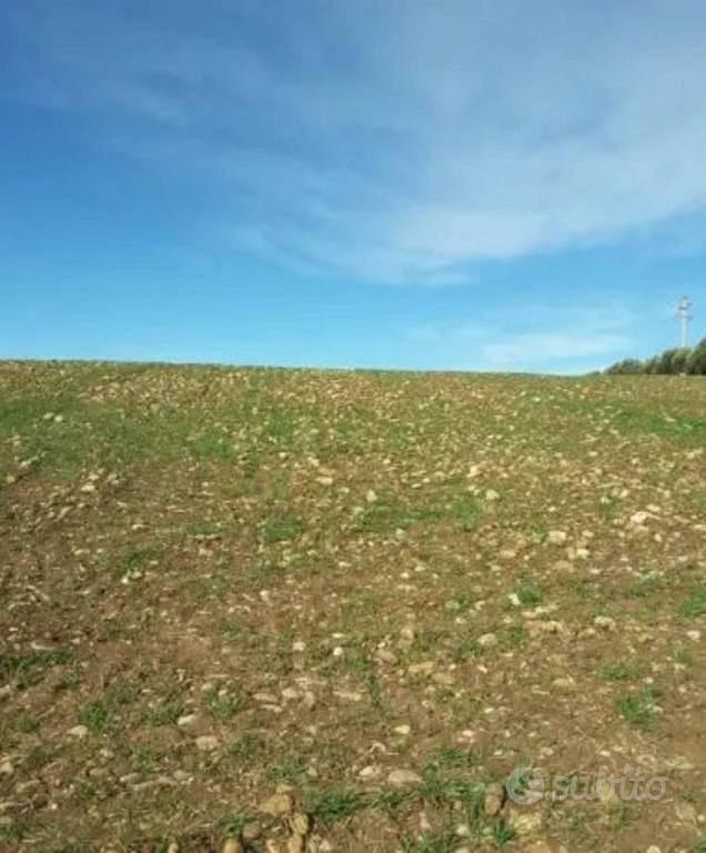 Immobile in asta di 43852 m² a Venosa - Altro