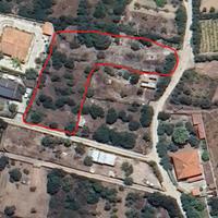 Terreno agricolo