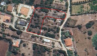 Terreno agricolo