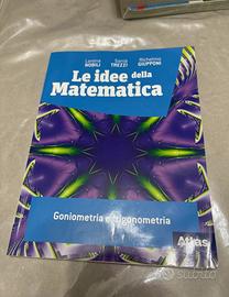 Idee della matematica- goniometria e trigonometria