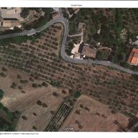 Uliveto zona Saludecio (prov. Rimini)