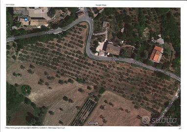 Uliveto zona Saludecio (prov. Rimini)