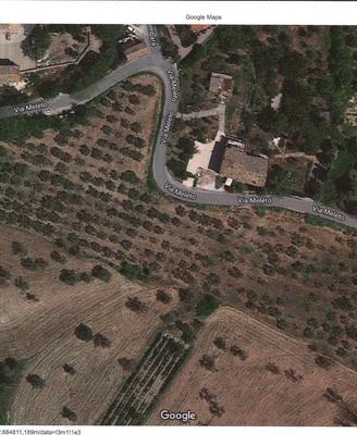 Uliveto zona Saludecio (prov. Rimini)