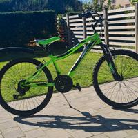 Bici "Lucchino L" verde