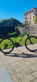 Bici "Lucchino L" verde