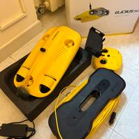 Chasing Gladius mini rov