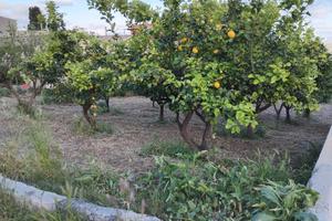 Terreno con rustico 