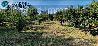 TERRENO AGRICOLO 3.500 mq A GIARRE