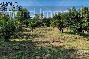 TERRENO AGRICOLO 3.500 mq A GIARRE