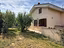 Immagine 21