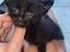 Immagine 3