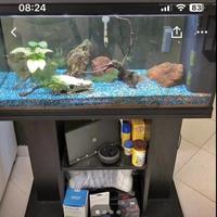 Acquario + mobile