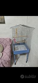 Gabbia per pappagalli