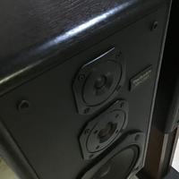 Technics Sb- Cs 65 diffusori acustici