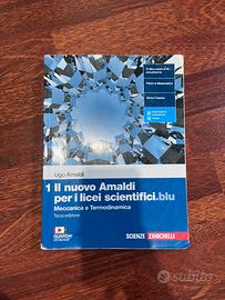 il nuovo Amaldi per licei scientifici