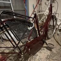 Bici Olandesina donna