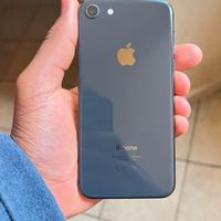 iPhone 6