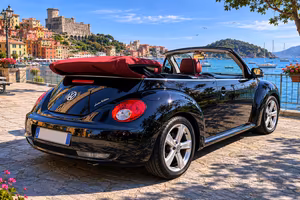 New Beetle Turbo Benzina RLE