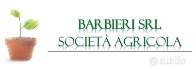 Terreni agricoli di grandi dimensioni da coltivare