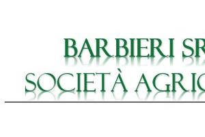 Terreni agricoli di grandi dimensioni da coltivare