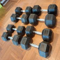 Manubri esagonali 15 kg