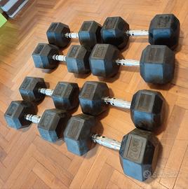 Manubri esagonali 15 kg