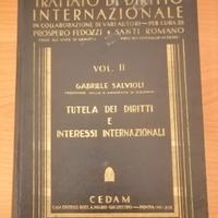 Libro diritto internazionale ed. 1941