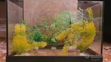 Vasca acquario Haquoss 25 litri con 5 piante 