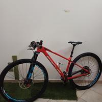 Mtb 29 Focus Raven tg.s