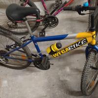 Mountain Bike Bimbo