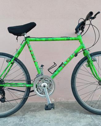Bici MTB Leri