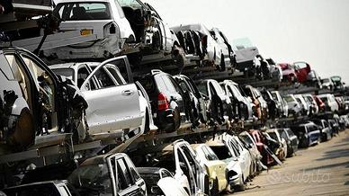 Capannone -attivita' di autodemolizione