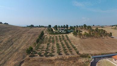 Terreno fronte mare