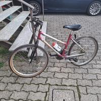 Bici da ragazza